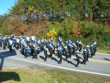 Download Veterans' Day Parade (375Wx281H)